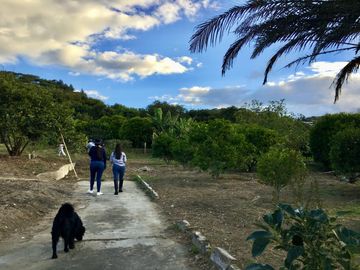 Venta terreno Guayllabamba, árboles frutales cerca al zoológico