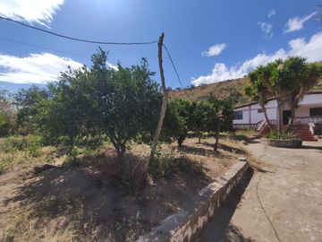 Venta terreno Guayllabamba, árboles frutales cerca al zoológico