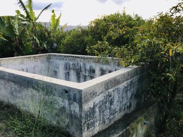 Venta terreno Guayllabamba, árboles frutales cerca al zoológico