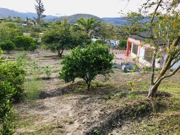 Venta terreno Guayllabamba, árboles frutales cerca al zoológico