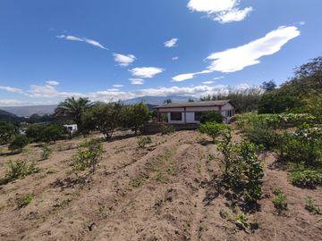 Venta terreno Guayllabamba, árboles frutales cerca al zoológico