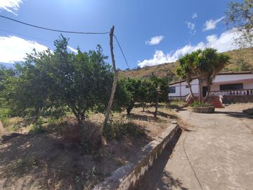 Venta terreno Guayllabamba, árboles frutales cerca al zoológico