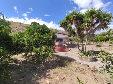 Venta terreno Guayllabamba, árboles frutales cerca al zoológico
