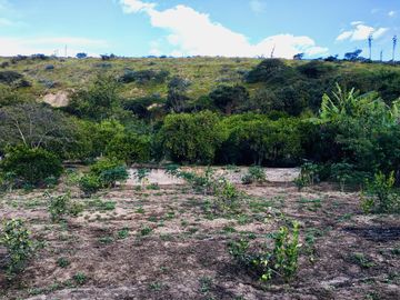 Venta terreno Guayllabamba, árboles frutales cerca al zoológico