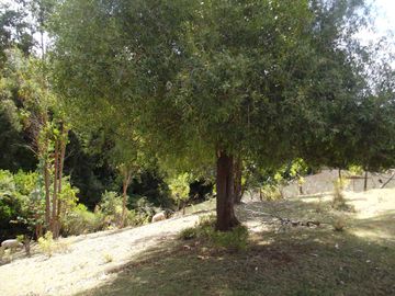 Parcela en venta en LA UNION