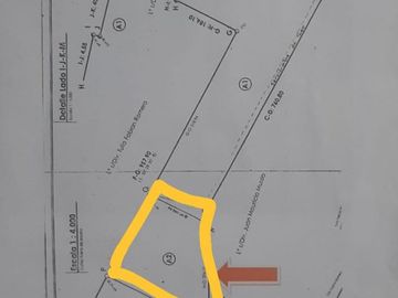 CAMPO DE 6,5HA IDEAL PARA TENDALEROS. LAVALLE