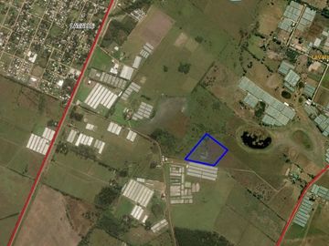 CAMPO DE 6,5HA IDEAL PARA TENDALEROS. LAVALLE