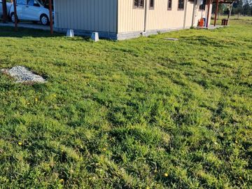 VENDO PARCELA CON CASA, 2 CABAÑAS Y BODEGA EN RÍO BUENO