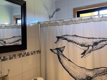 VENDO PARCELA CON CASA, 2 CABAÑAS Y BODEGA EN RÍO BUENO