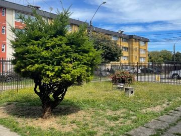 VENDO DEPARTAMENTO EN VALDIVIA
