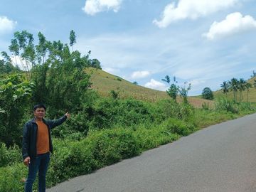 Dijual Tanah Seluas 2H Cocok untuk Perkebunan di Lolak - Sulut!