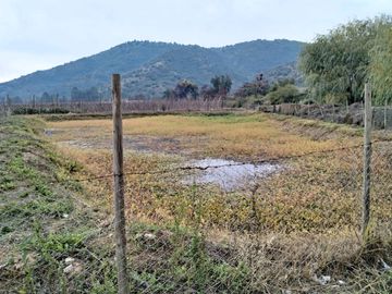 CAMPO AGRÍCOLA 18 HA AGUA INSTALACIONES SAGRADA FAMILIA