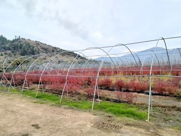 CAMPO AGRÍCOLA 18 HA AGUA INSTALACIONES SAGRADA FAMILIA