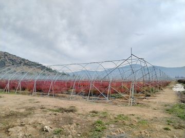 CAMPO AGRÍCOLA 18 HA AGUA INSTALACIONES SAGRADA FAMILIA