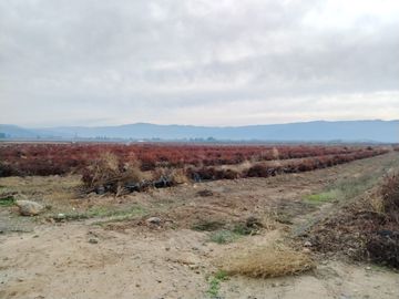 CAMPO AGRÍCOLA 18 HA AGUA INSTALACIONES SAGRADA FAMILIA