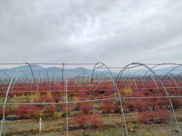 CAMPO AGRÍCOLA 18 HA AGUA INSTALACIONES SAGRADA FAMILIA