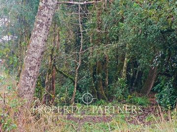 Parcela con acceso a río y Casa en construcción Ñancul Panguipulli