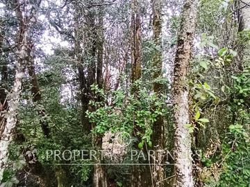 Parcela con acceso a río y Casa en construcción Ñancul Panguipulli