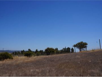BAJAMOS EL PRECIO PARCELA SECTOR EMBALSE MALLERMO