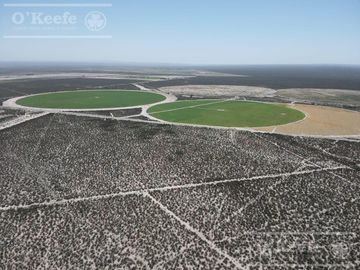 Campo en venta 137 has en Zapata