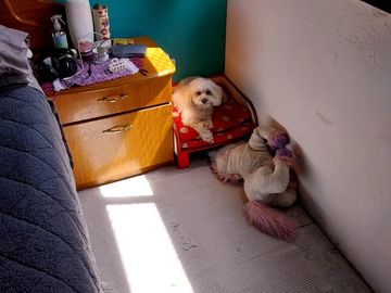 Departamento de tres ambientes con Cochera en Venta en Avellaneda