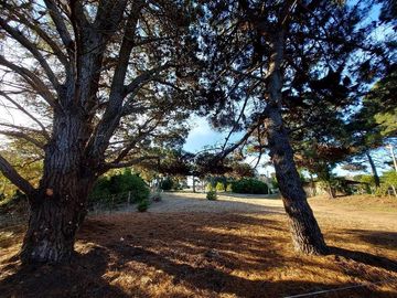 Terreno en venta - 500Mts2 - Nueva Atlantis