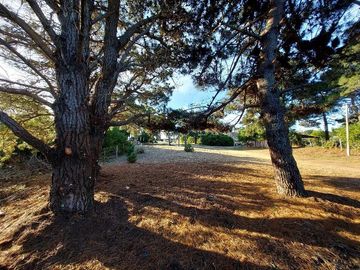 Terreno en venta - 500Mts2 - Nueva Atlantis