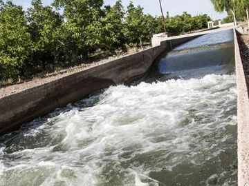 Campo - Finca Productiva de primer nivel en Medrano - 75 has