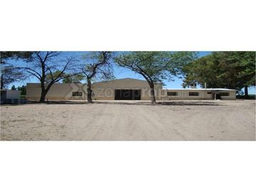 Campo - Finca Productiva de primer nivel en Medrano - 75 has