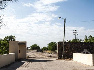 Campo - Finca Productiva de primer nivel en Medrano - 75 has