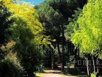 Venta Casa en  Cariló , Pinamar  excelente renta anual, y para disfrutar en familia