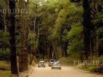 Venta Casa en  Cariló , Pinamar  excelente renta anual, y para disfrutar en familia
