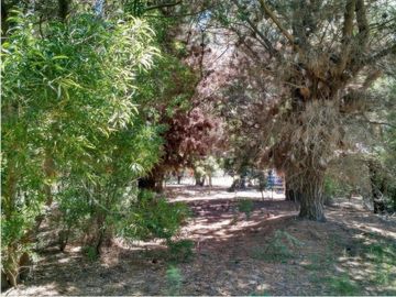Terreno en venta - 500mts2 - Nueva Atlantis