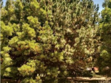 Terreno en venta - 500mts2 - Nueva Atlantis