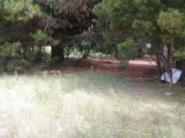 Terreno en venta - 12.50x40 mts - 500mts2 - Nueva Atlantis