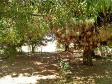 Terreno en venta - 12.50x40 mts - 500mts2 - Nueva Atlantis