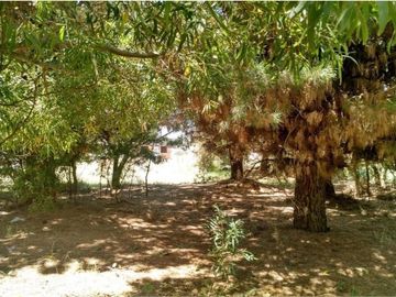 Terreno en venta - 1000mts2 - Nueva Atlantis