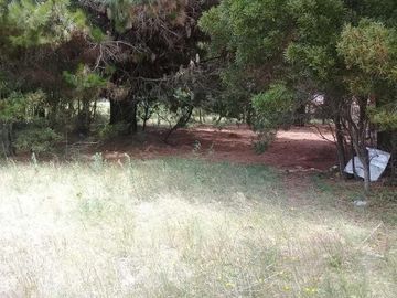 Terreno en venta - 1000mts2 - Nueva Atlantis
