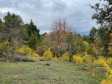 Las Golondrinas - Chubut