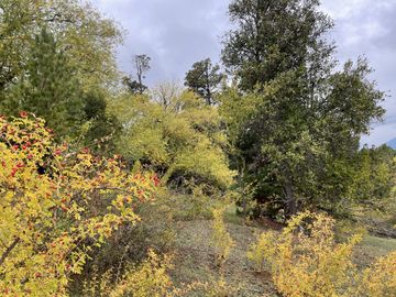 Las Golondrinas - Chubut