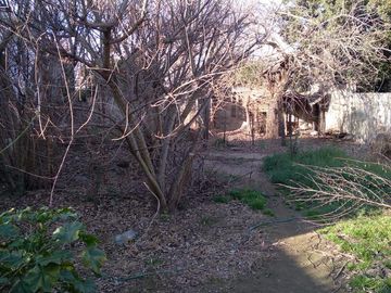 Casa en venta - 4 Dormitorios 2 Baños - 430 mts2 - 9 De Julio