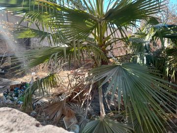 VENTA DE TERRENO GODOY CRUZ