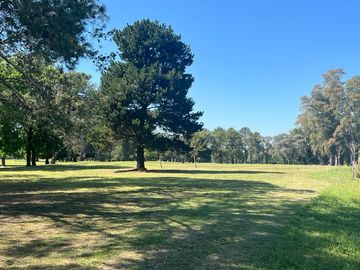 Terreno en  Lomas Golf Club