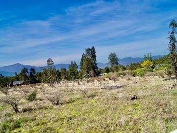 Hermosa parcela de 11.000 m/2 en La Foresta de Zapallar