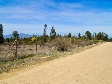 Hermosa parcela de 11.000 m/2 en La Foresta de Zapallar