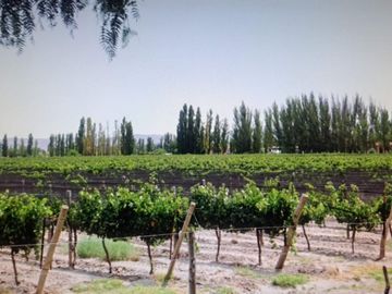 VENTA DE FINCA EN SANTA ROSA SOBRE RUTA 50