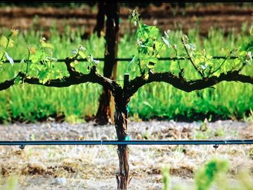 VENTA DE FINCA EN SANTA ROSA SOBRE RUTA 50