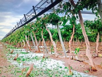 VENTA DE FINCA EN SANTA ROSA SOBRE RUTA 50