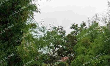 Tanah darat dan sawah di Karawang Timur Jawa Barat