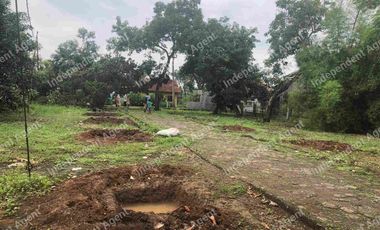 Tanah darat dan sawah di Karawang Timur Jawa Barat